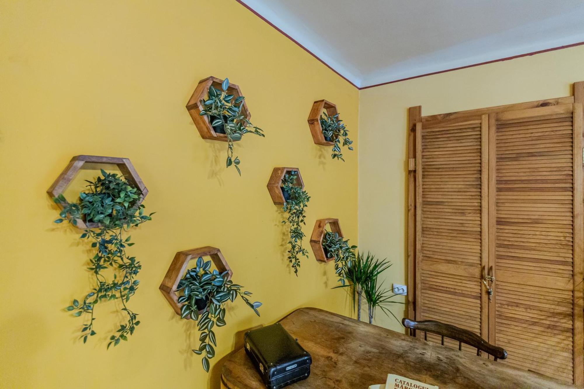 Tree House-Old Town Brasov Apartment Екстериор снимка