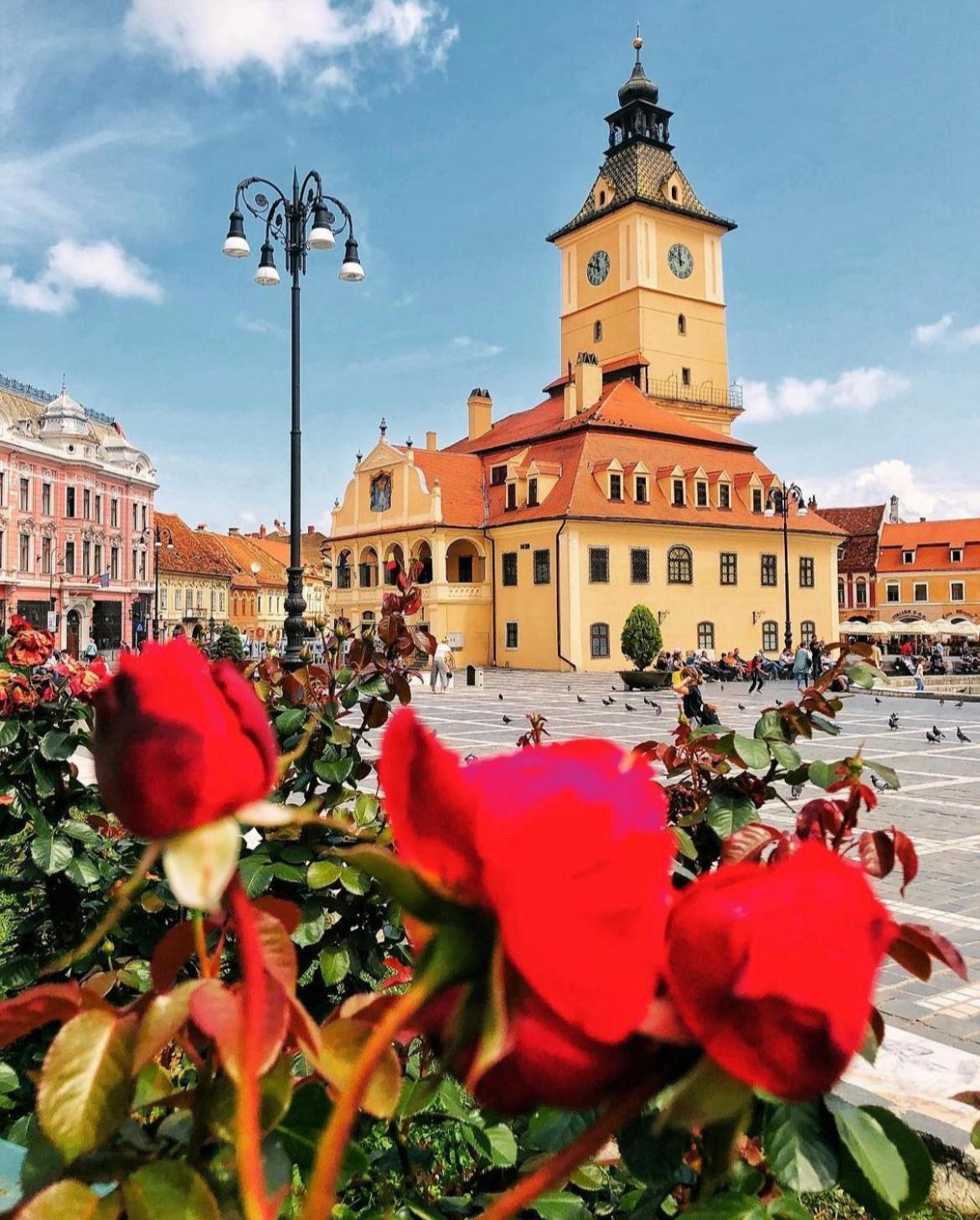 Tree House-Old Town Brasov Apartment Екстериор снимка